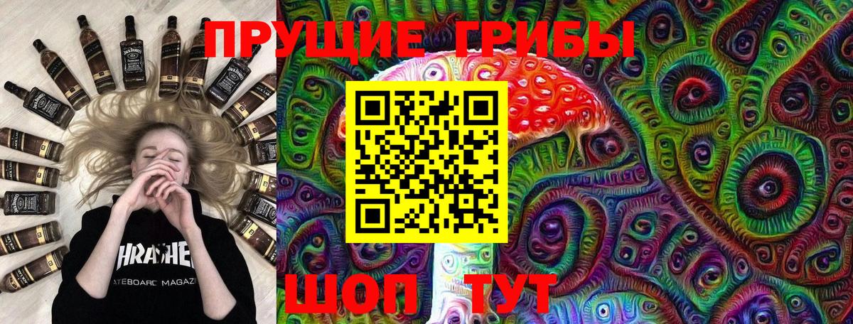 Галлюциногенные грибы Cubensis  Галлюциногенные грибы прущие грибы  Вход с VPN  Алексеевка 